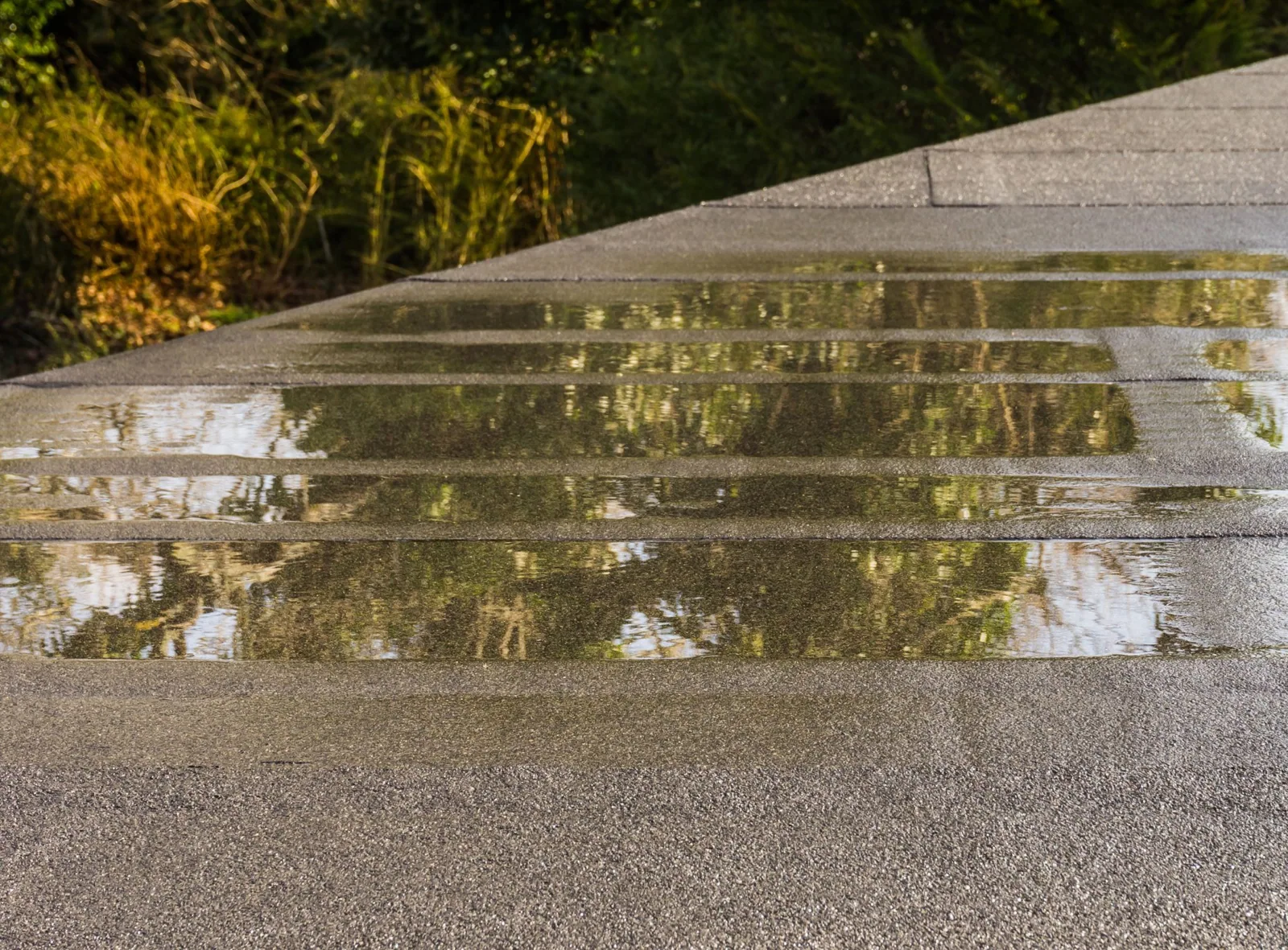 Commercial Roof Ponding Water Repair in Concord, CA