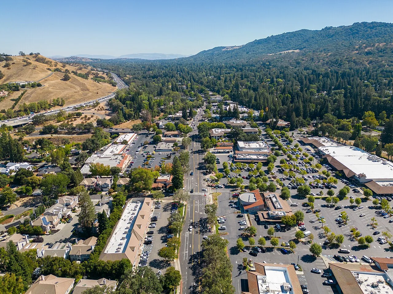 Commercial Roof Inspection and Repair in Alamo, CA
